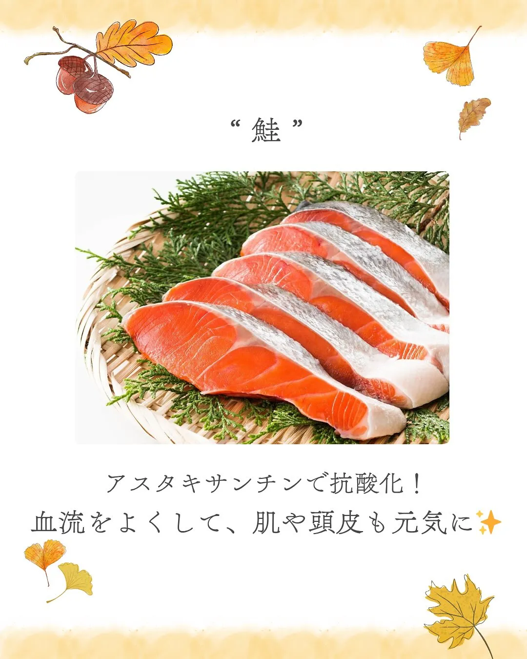 【秋の旬食材】